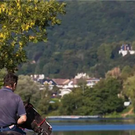 La Du Lac- 3 For 6 People * Divonne-les-Bains